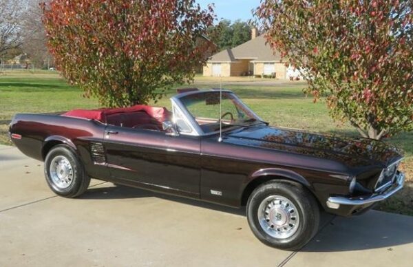 1967 Ford Mustang Cabriolet Deluxe – Image 12