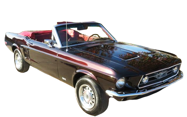 mustangstock